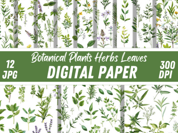 Download Botanical Plants Herbs Leaves Patterns - Botanical Collection